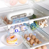 Load image into Gallery viewer, Refrigerator Deodorizer Air Purifier Refrigerator Deodorizer Food Shelf Life Extender Remove Odor Smoke Pet Toilet Car